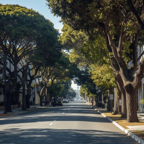 Professional junk hauling service in Bay Area